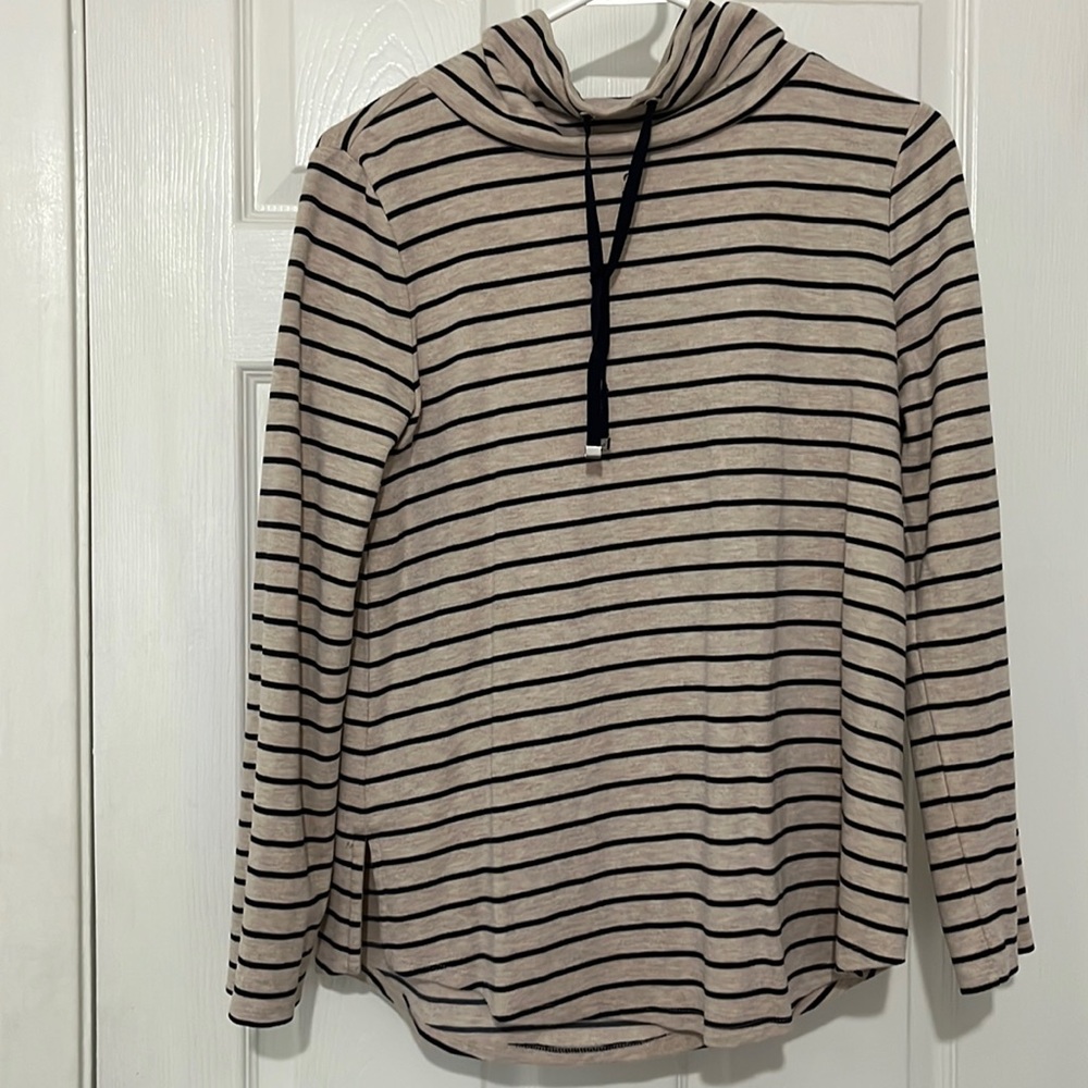Ann Taylor Sweatshirt
